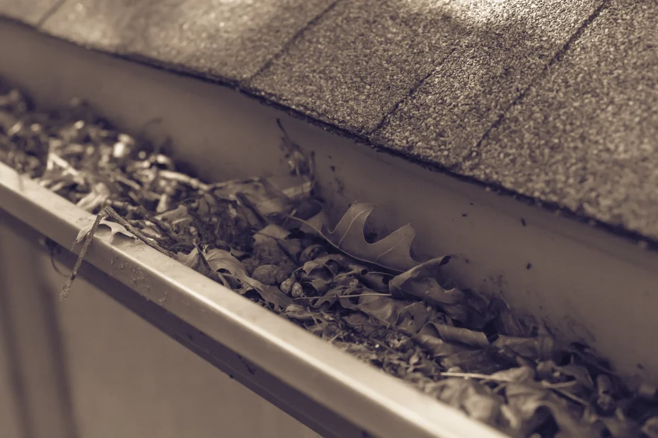 Kearney Gutter Cleaning