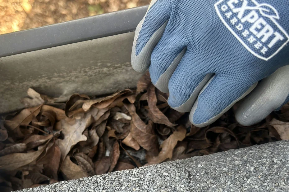 Kearney Gutter Cleaning