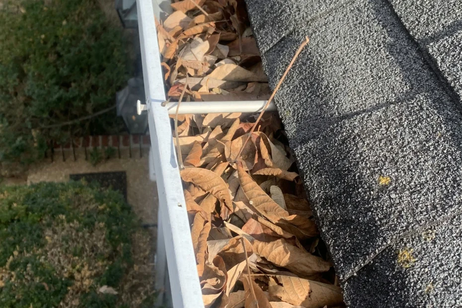 Kearney Gutter Cleaning