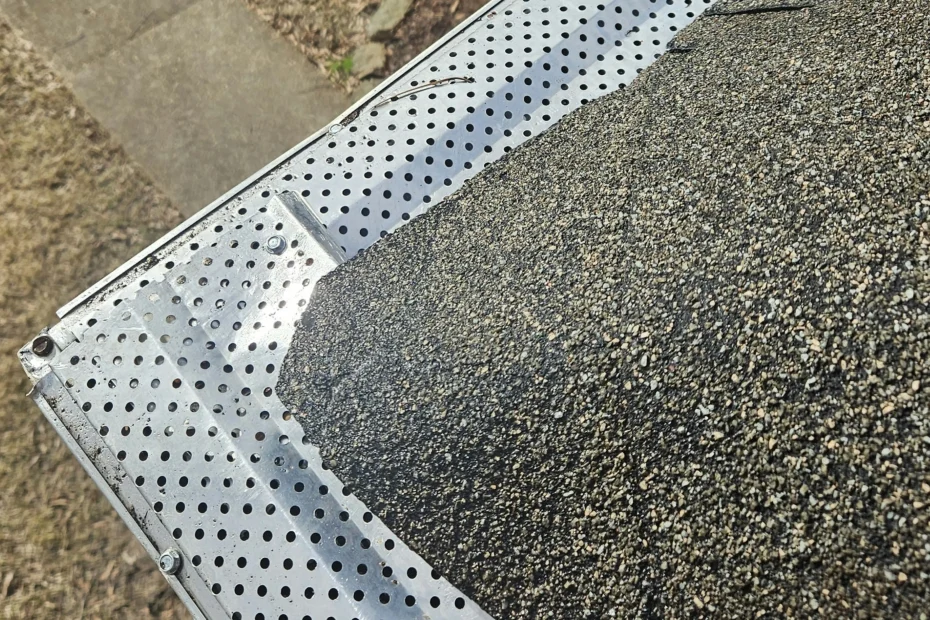 Kearney Gutter Cleaning