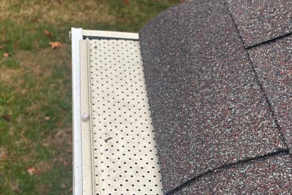Kearney Gutter Cleaning